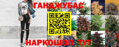 ECSTASY Гусь-Хрустальный