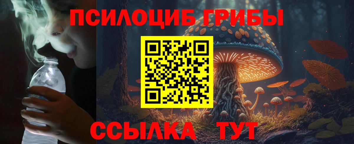 Галлюциногенные грибы MAGIC MUSHROOMS Можга